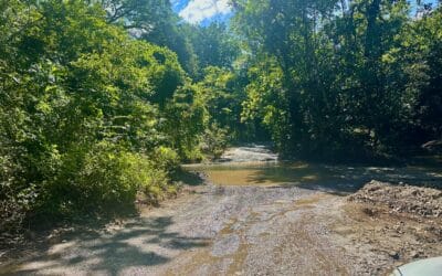 Driving The Monkey Trail